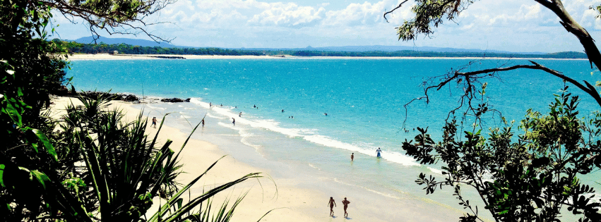 noosa business for sale